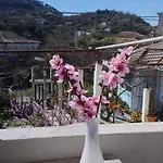 Lili's House * Delvine