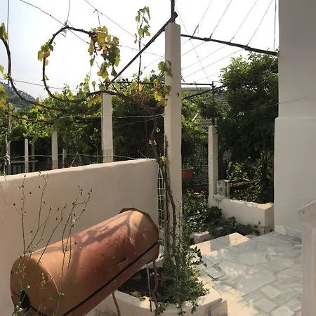 Lili's House