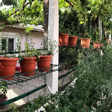 Lili's House Σπίτι διακοπών *