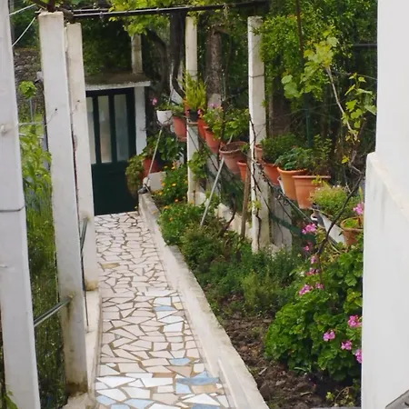 Lili's House *