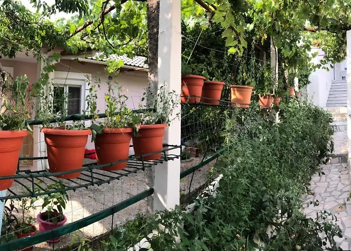 Lili's House Tatil Evi *